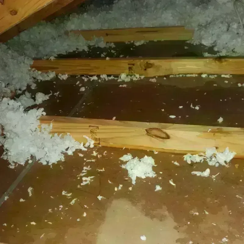 Attic Water Damage in Refugio County, TX